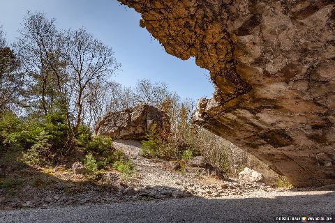 Gemeinde Mühldorfer_Hart Landkreis Mühldorf Bunkerbogen Natur (Dirschl Johann) Deutschland MÜ